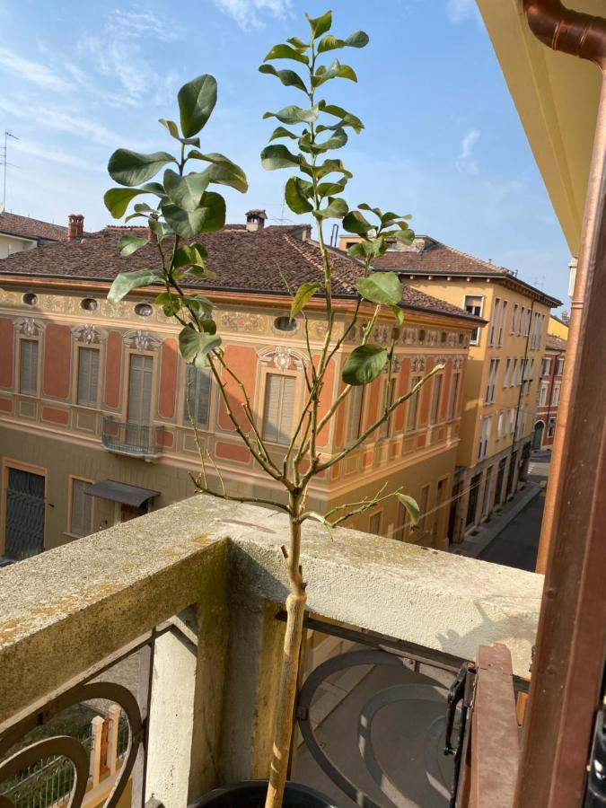 Loft Manzoni 37 Daire Cremona Dış mekan fotoğraf